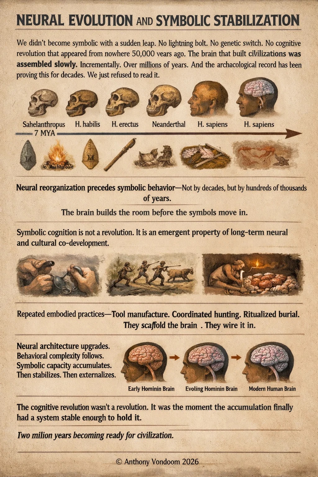 Neural Evolution